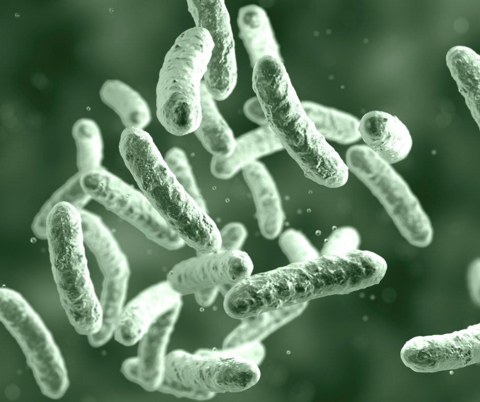 Legionella Awareness