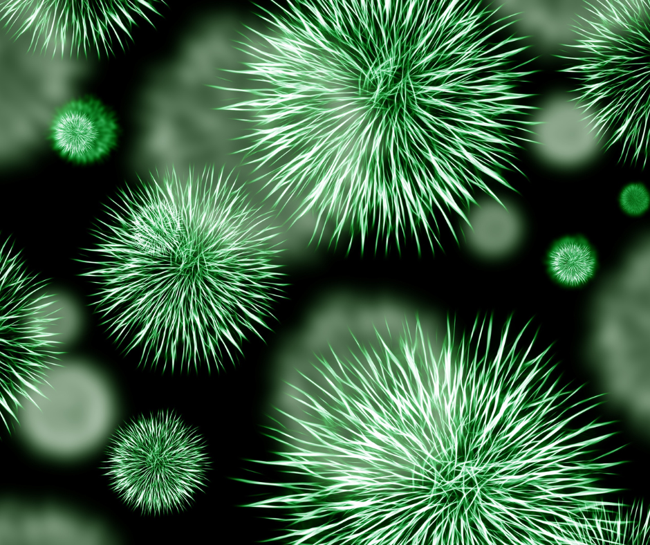 Legionella Awareness – Refresher